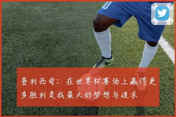 普利西奇：在世界杯赛场上赢得更多胜利是我最大的梦想与追求