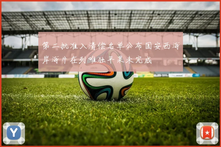 第二批准入清偿名单公布国安西海岸海牛在列唯独平果未完成